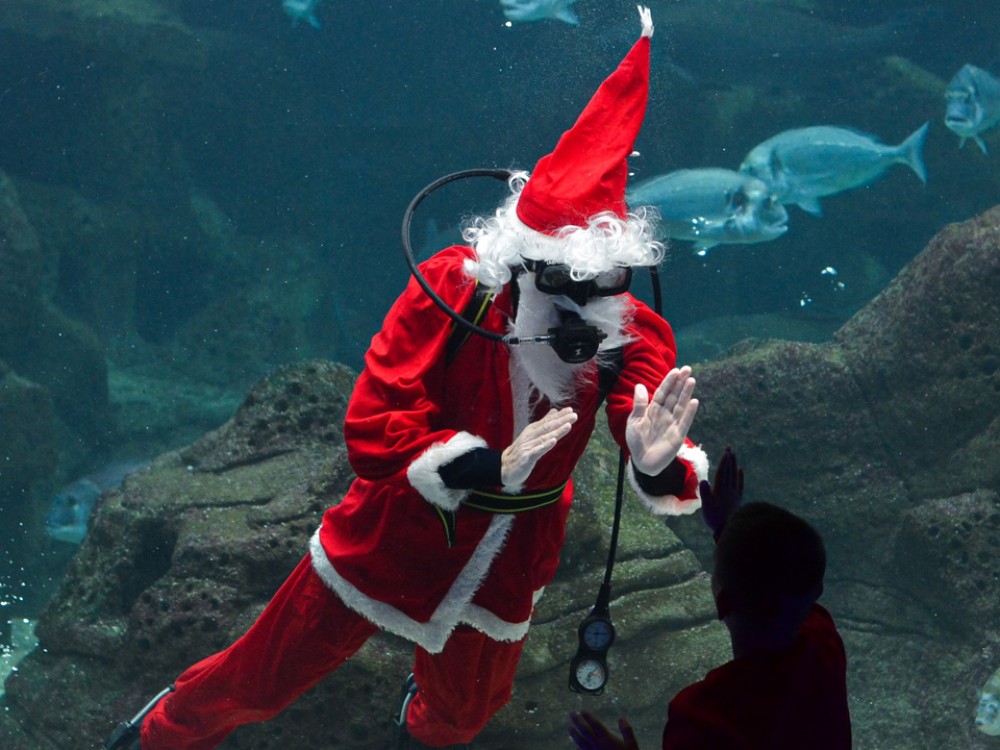 Ο Άγιος Βασίλης στο Cretaquarium